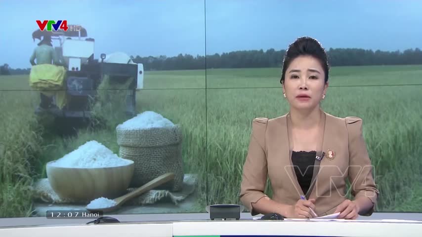 Việt Nam ưu tiên sản xuất lúa chất lượng cao