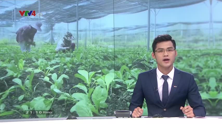 Giải pháp canh tác thích ứng biến đổi khí hậu