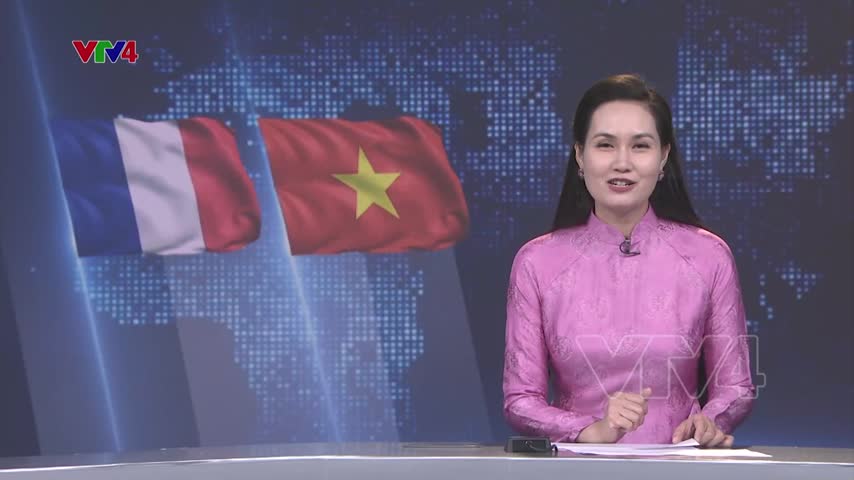 Giới thiệu Văn hóa Mỹ thuật Việt Nam