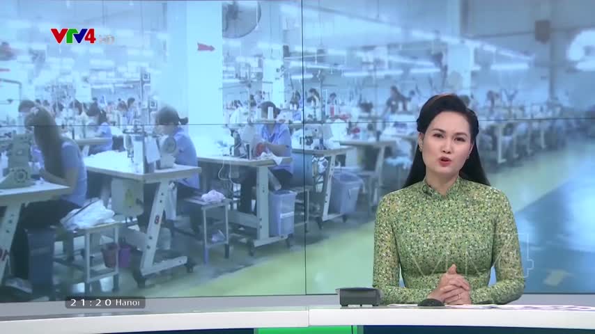 Bác thông tin EU tạm ngưng hàng dệt may