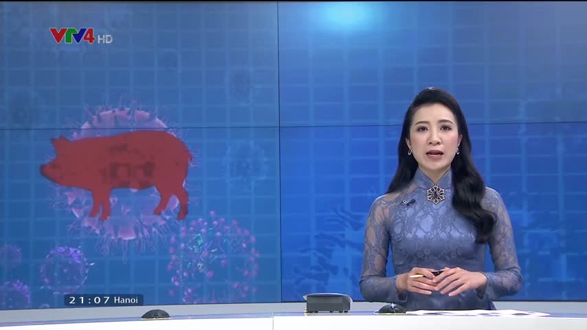 Phòng chống dịch khó khăn vì giá lợn có sự chênh lệc