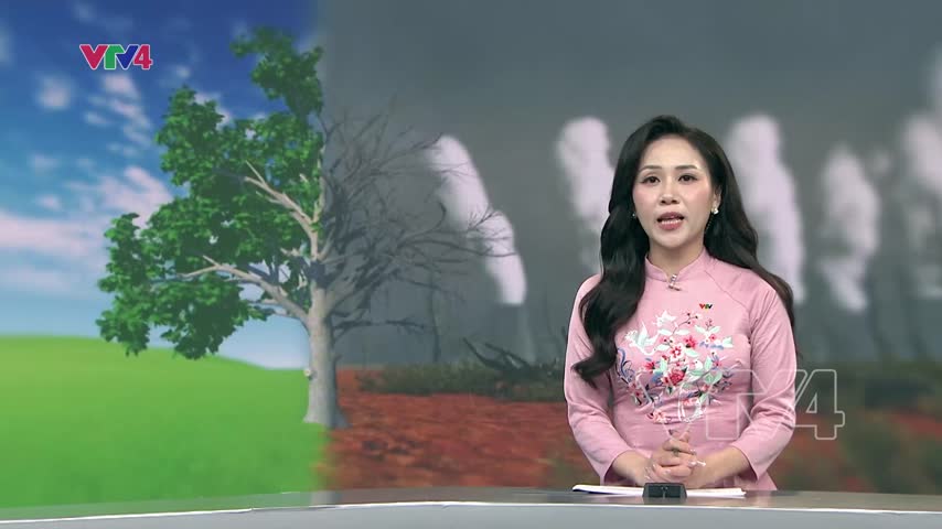 Chung tay ứng phó biến đổi khí hậu 