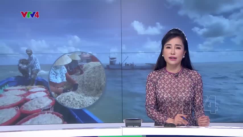 Cà Mau trúng mùa ruốc