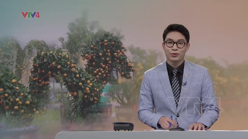 Muôn màu cây cảnh đón năm Rồng
