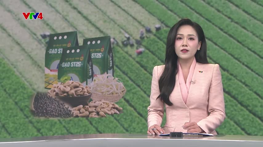 Khát vọng nông nghiệp xanh, hiện đại, bền vững