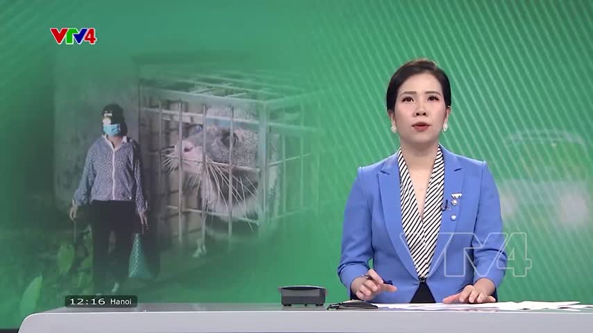 Thức đêm cứu hộ động vật hoang dã