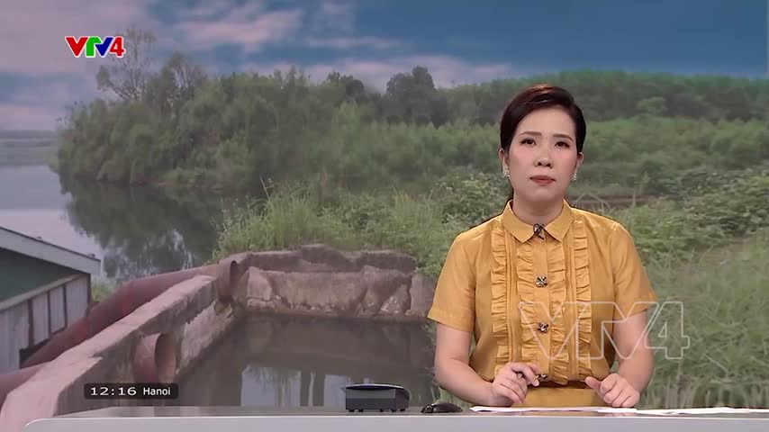 Quảng Nam khẩn trương phòng chống xâm nhập mặn 