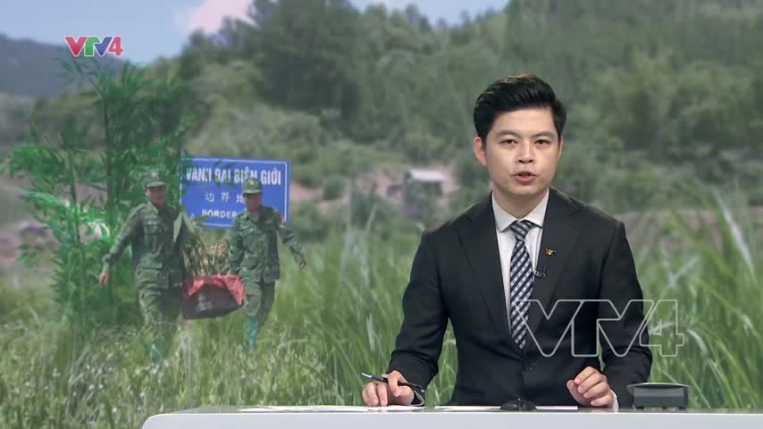 Mô hình lũy tre biên thùy - 