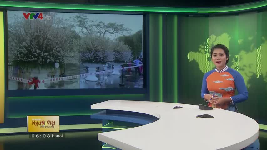 Lễ hội hoa anh đào Hải Phòng 2018