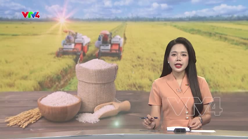 Gạo Việt tiến vào phân khúc giá trị cao