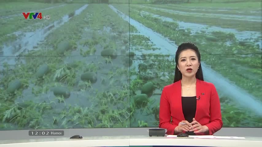 Thiệt hại do mưa lũ tại các địa phương