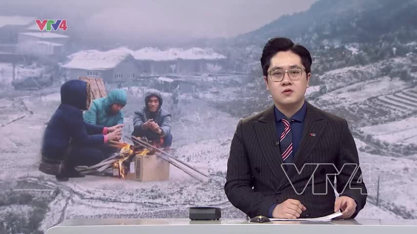 Tình hình rét đậm rét hại