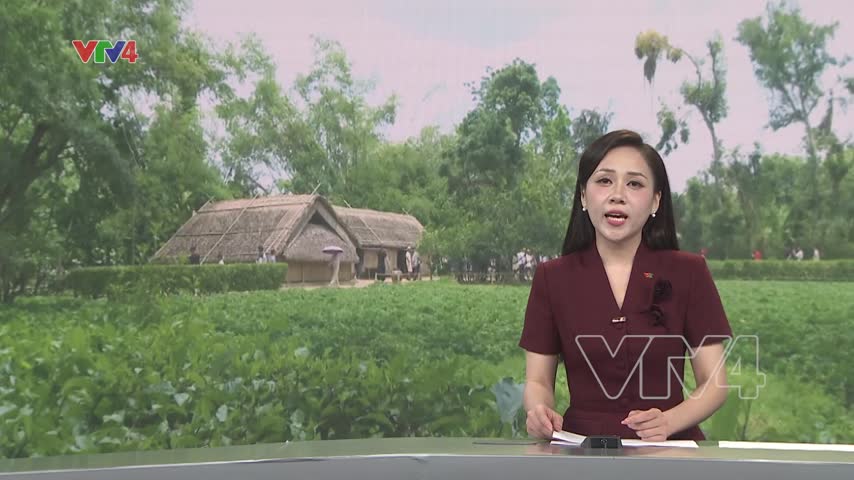 Làng Sen hướng về Bác