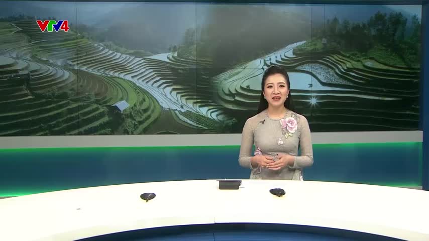 Ruộng bậc thang giúp bà con dân tộc H’Mông thoát nghèo   