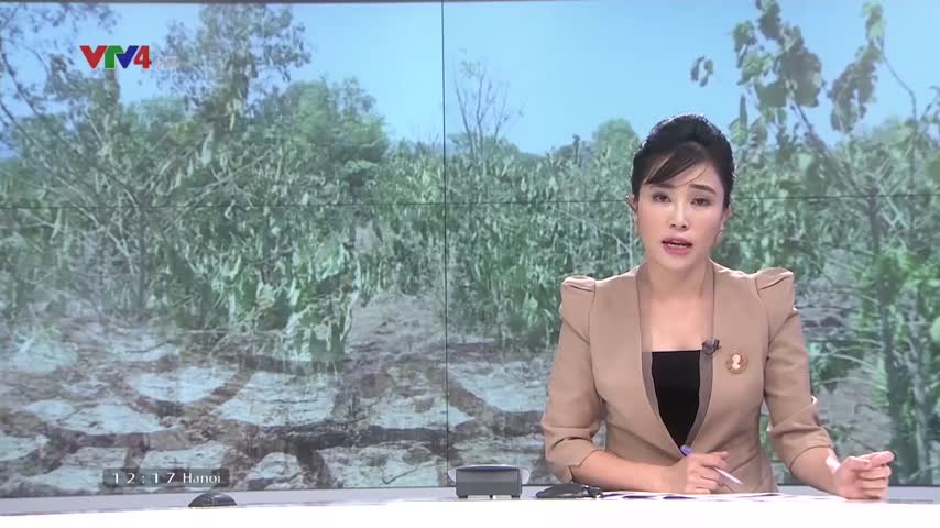 Đák Lák gồng mình ứng phó với khô hạn