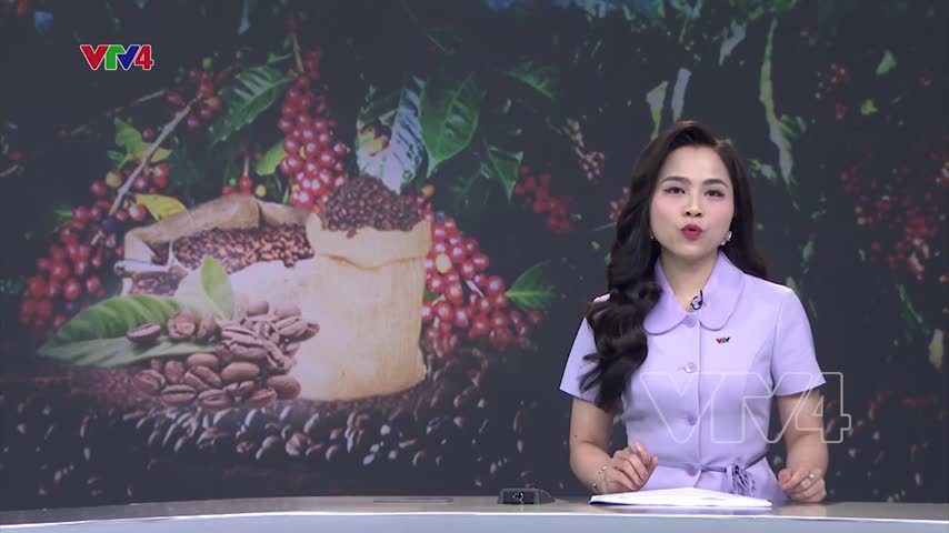 Sản xuất cà phê bền vững để có thêm cơ hội thị trường