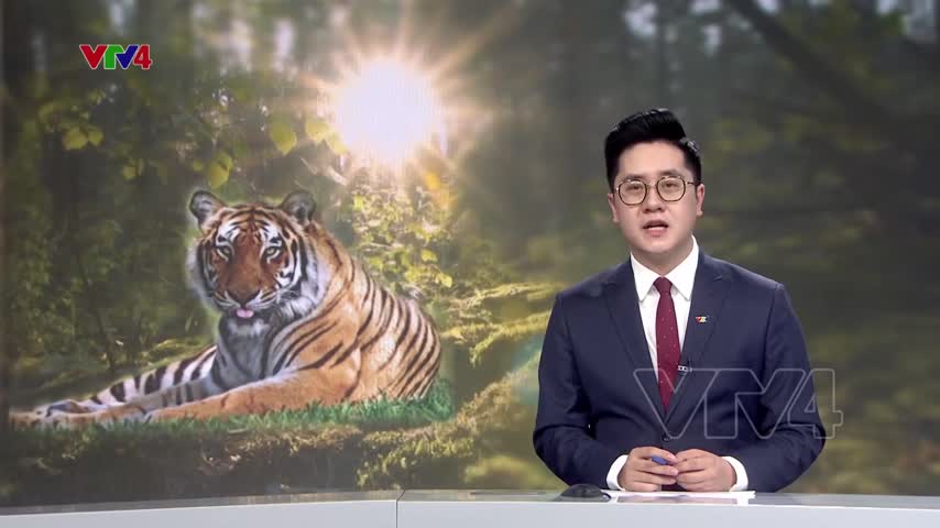 Bảo tồn loài hổ​