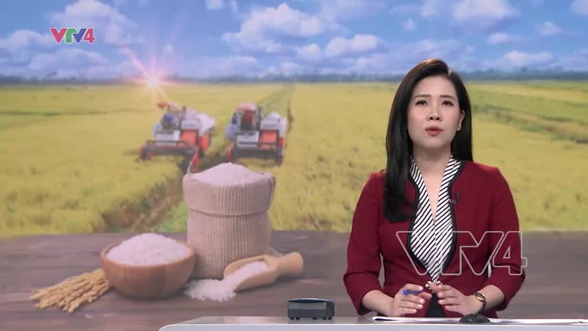 Tín hiệu vui từ xuất khẩu gạo