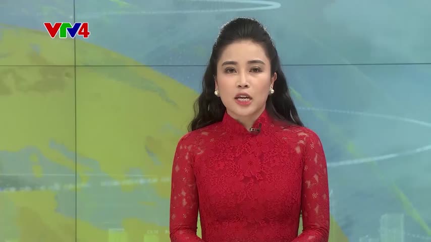 Hợp nhất cơ quan tương đồng chức năng