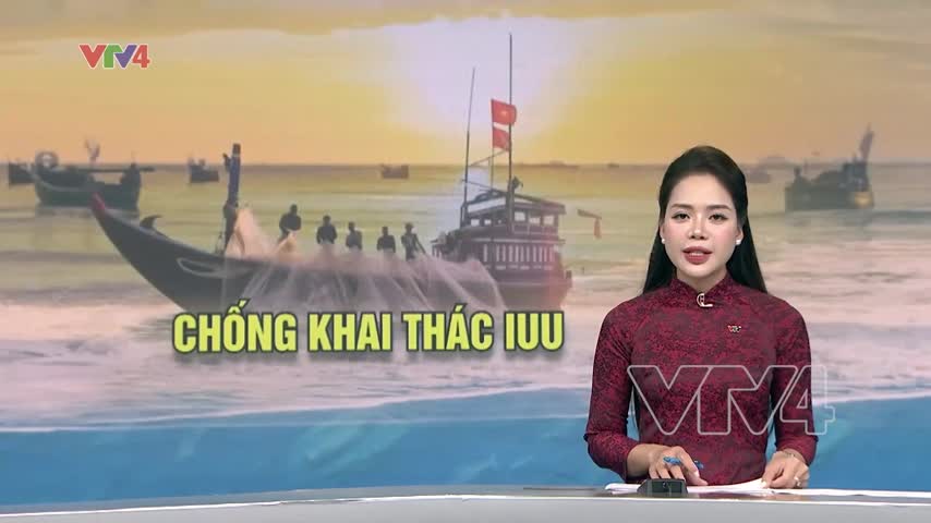 Tuyên chiến với những sai phạm trong khai thác IUU
