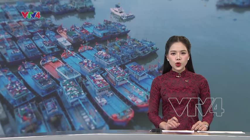 Dứt khoát không để người dân ở lại tàu thuyền khi có bão