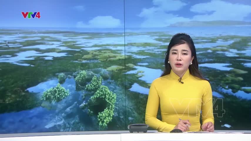 Vẻ đẹp của mùa biển cạn