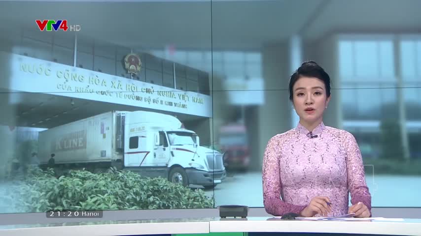 Lào Cai tháo gỡ khó khăn cho hoạt động xuất nhập khẩu tại cửa khẩu