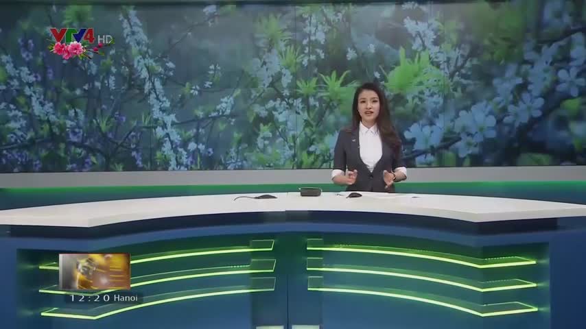 Cao nguyên mận trắng Bắc Hà