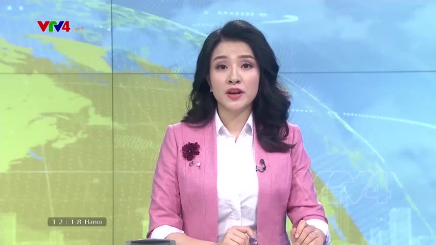 Sẽ phục hồi đàn lợn trong năm nay