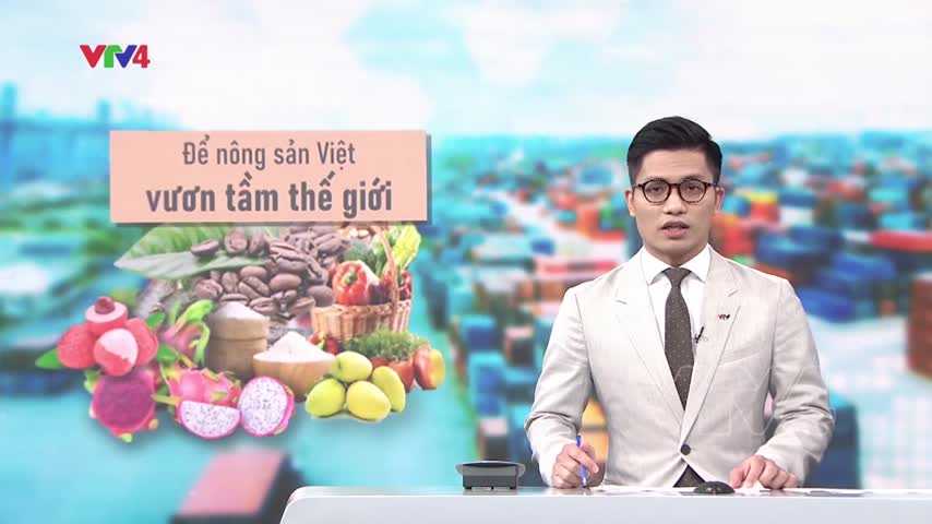 Kết nối đưa nông sản Việt vào châu Âu
