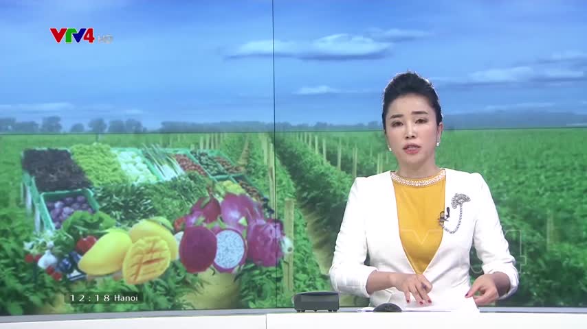 Tìm giải pháp tiêu thụ nông sản bền vững