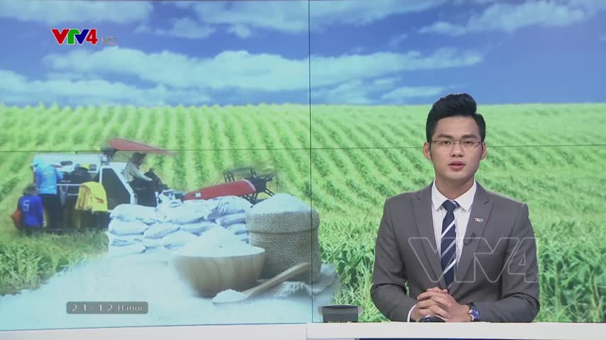 Nông dân và doanh nghiệp vui mừng khi được xuất khẩu gạo trở lại