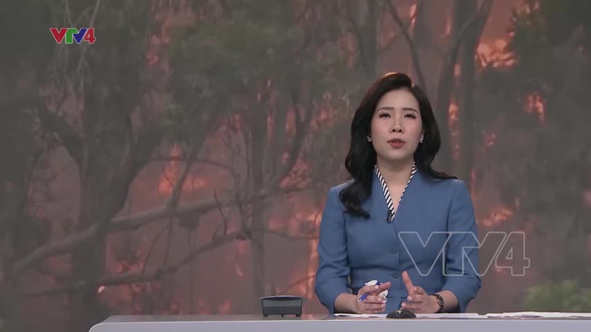 Tăng cường phòng cháy chữa cháy rừng tại chỗ