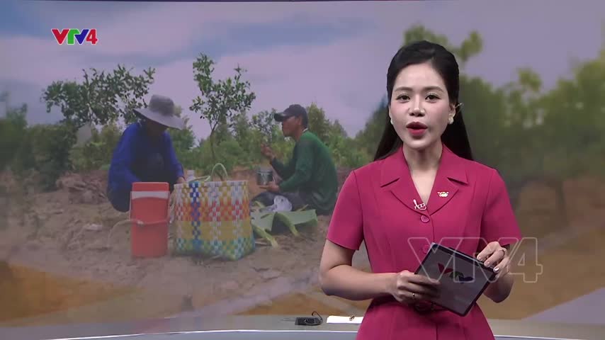 Bữa cơm giữa đồng gần gũi