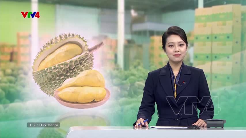  Quảng bá sầu riêng Việt Nam tại Trung Quốc