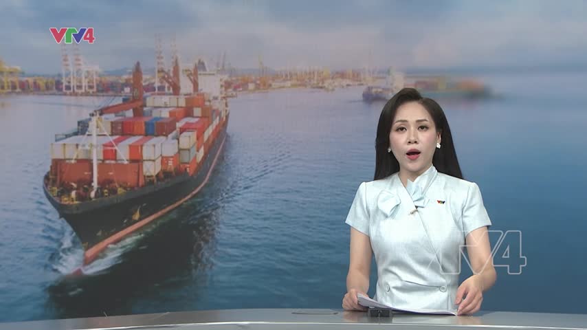 Giá cước vận tải biển tăng ảnh hưởng đến ngành thuỷ sản