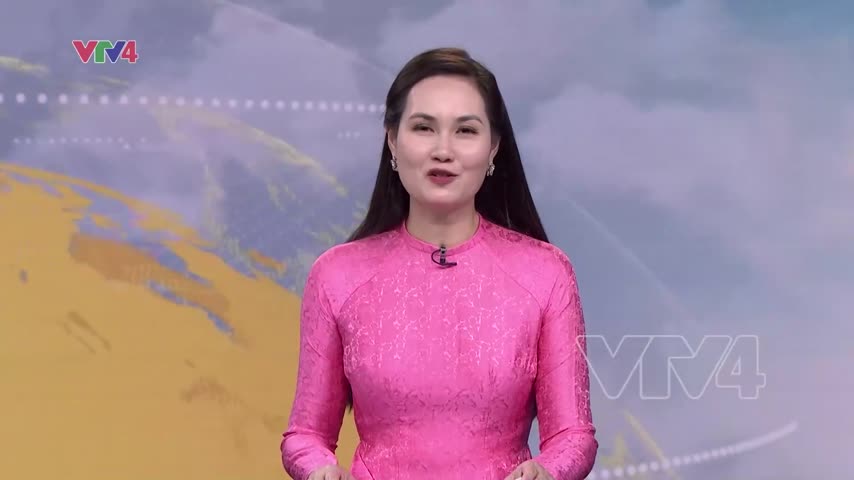 Ngày hội văn hóa Việt Nam tại Osaka, Nhật Bản
