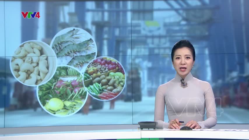 Cần hỗ trợ thông tin để doanh nghiệp đưa hàng vào EU