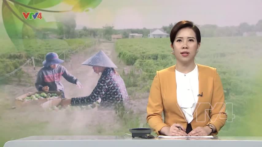 Đẩy mạnh chế biến sâu nông sản vùng Tây Nguyên