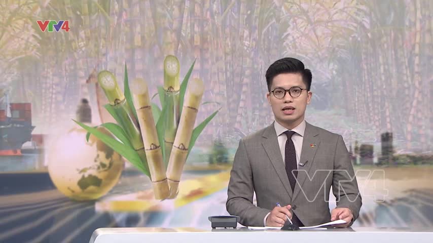 Xuất khẩu trên 17 tấn mía tươi sang thị trường Hoa Kỳ