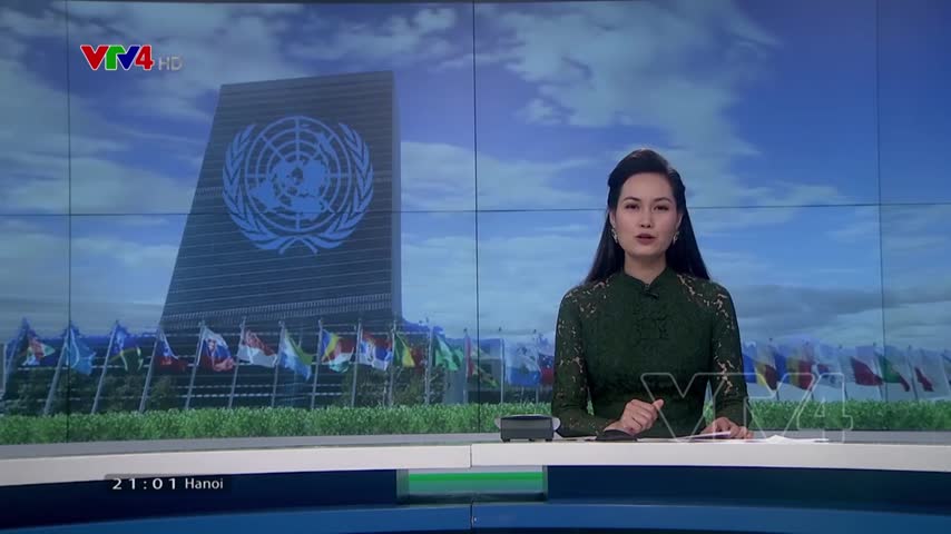 Trách nhiệm của Việt Nam đối với châu Phi