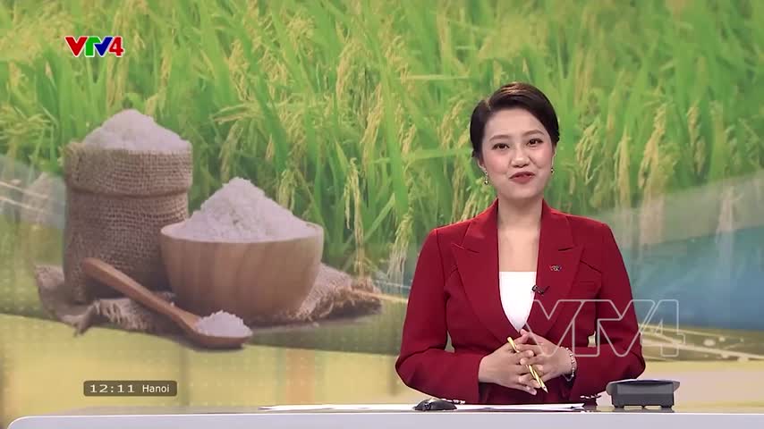 Giá gạo Việt Nam cao nhất trong hai năm qua 