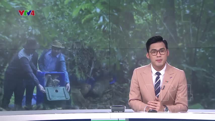 Thả động vật hoang dã về lại với tự nhiên