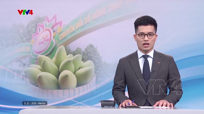 Khai mạc lễ hội Xoài Đồng Tháp 2023