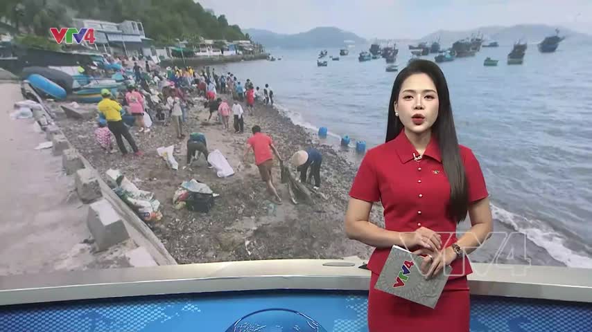 Học cách bảo vệ đại dương