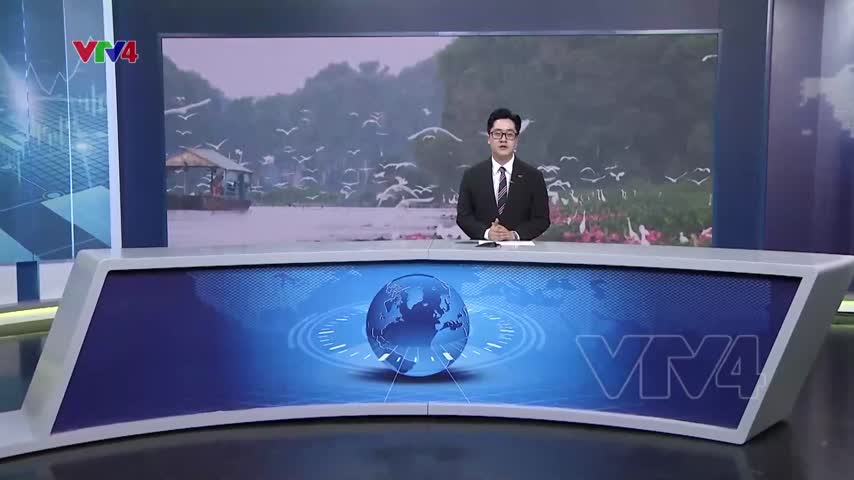 Vườn quốc gia Tràm chim tích cực phục hồi hệ sinh thái