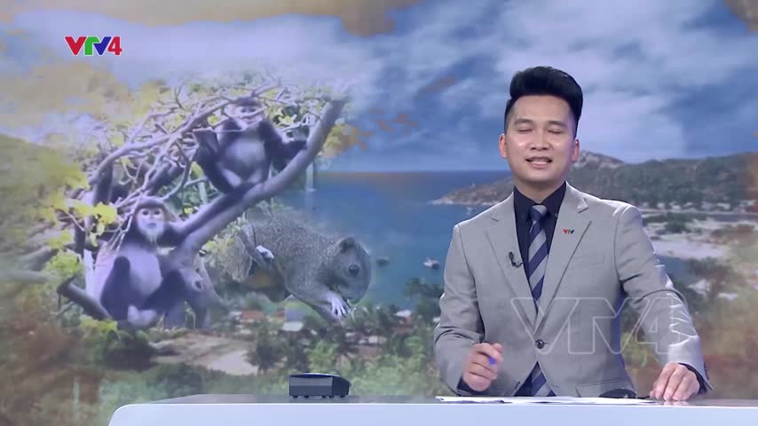 Di sản xanh Núi Chúa