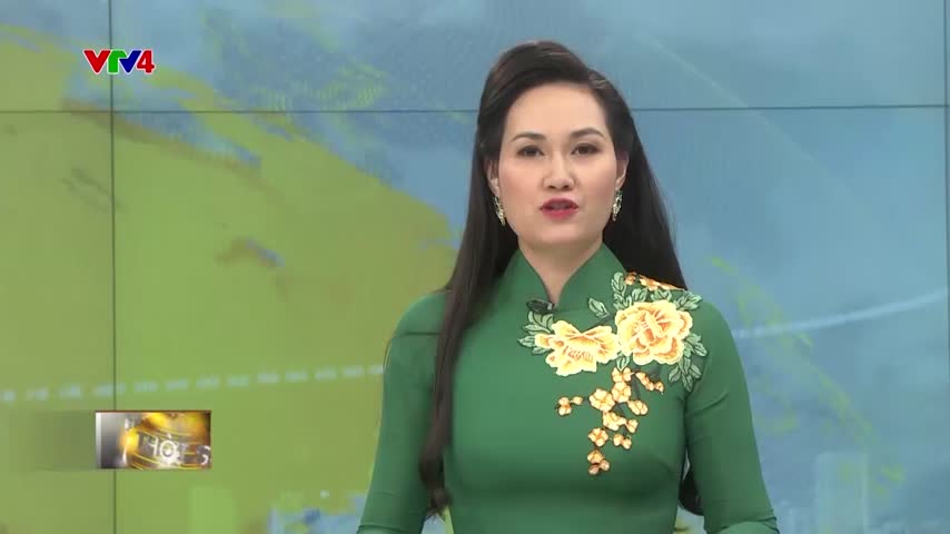 Chủ tịch nước tiếp Thượng Nghị sỹ Mỹ