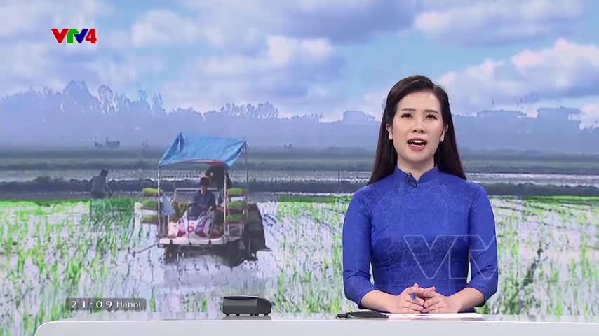 Không khí sản xuất trên các cánh đồng