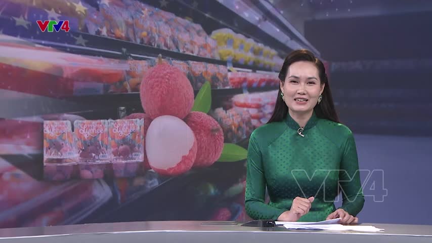 Quả vải Việt Nam lên kệ siêu thị lớn ở Mỹ